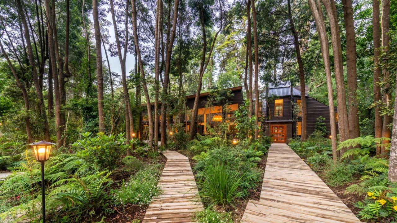 Rakau Lodge Пукон Экстерьер фото