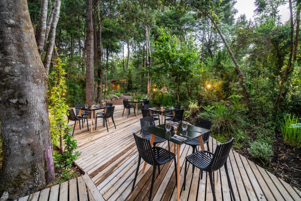 Rakau Lodge Пукон Экстерьер фото