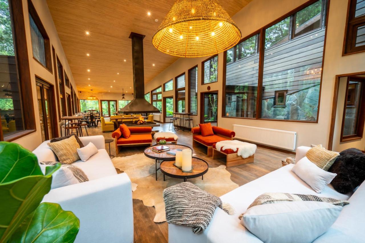 Rakau Lodge Пукон Экстерьер фото