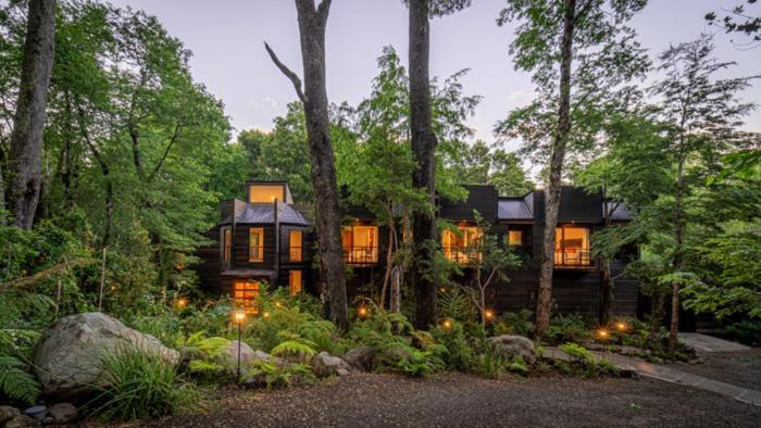 Rakau Lodge Пукон Экстерьер фото